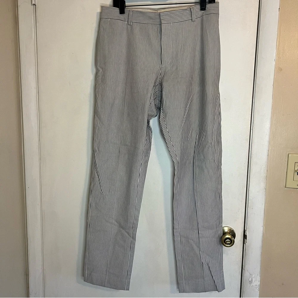 Mango Man Striped Light Blue and White Pants - Picture 2 of 8